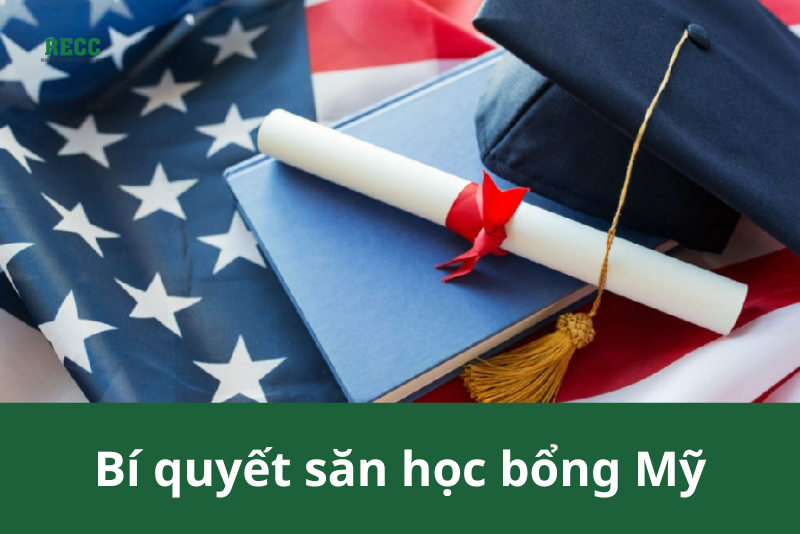 Bí quyết săn học bổng thực tập sinh thành công nằm ở việc xây dựng hồ sơ ấn tượng, tìm kiếm cơ hội thực tập phù hợp và chuẩn bị kỹ lưỡng cho vòng phỏng vấn.